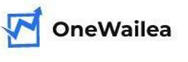 OneWailea — брокер-приведение