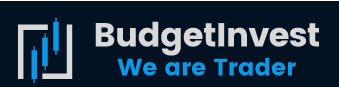 Budget Invest — проект, с полным отсутствием перспектив