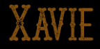 Xavie – мошенник: отзывы и вывод денег