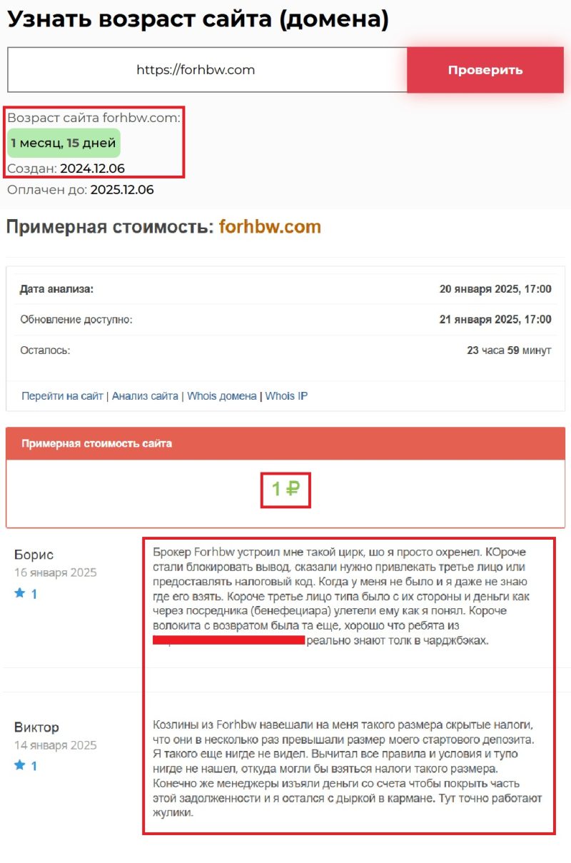 Лжеброкер Forhbw (forhbw.com) — обман и кража денег у неопытных инвесторов - 2