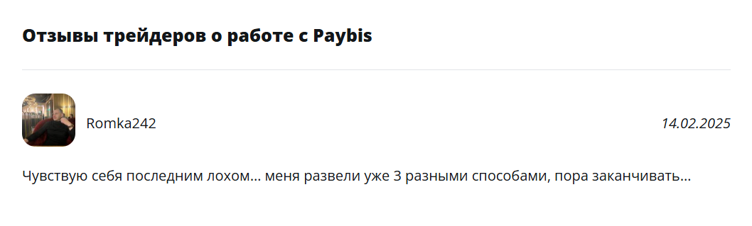 Paybis (paybis.com): берегитесь таких фальшивых криптокошельков - 2