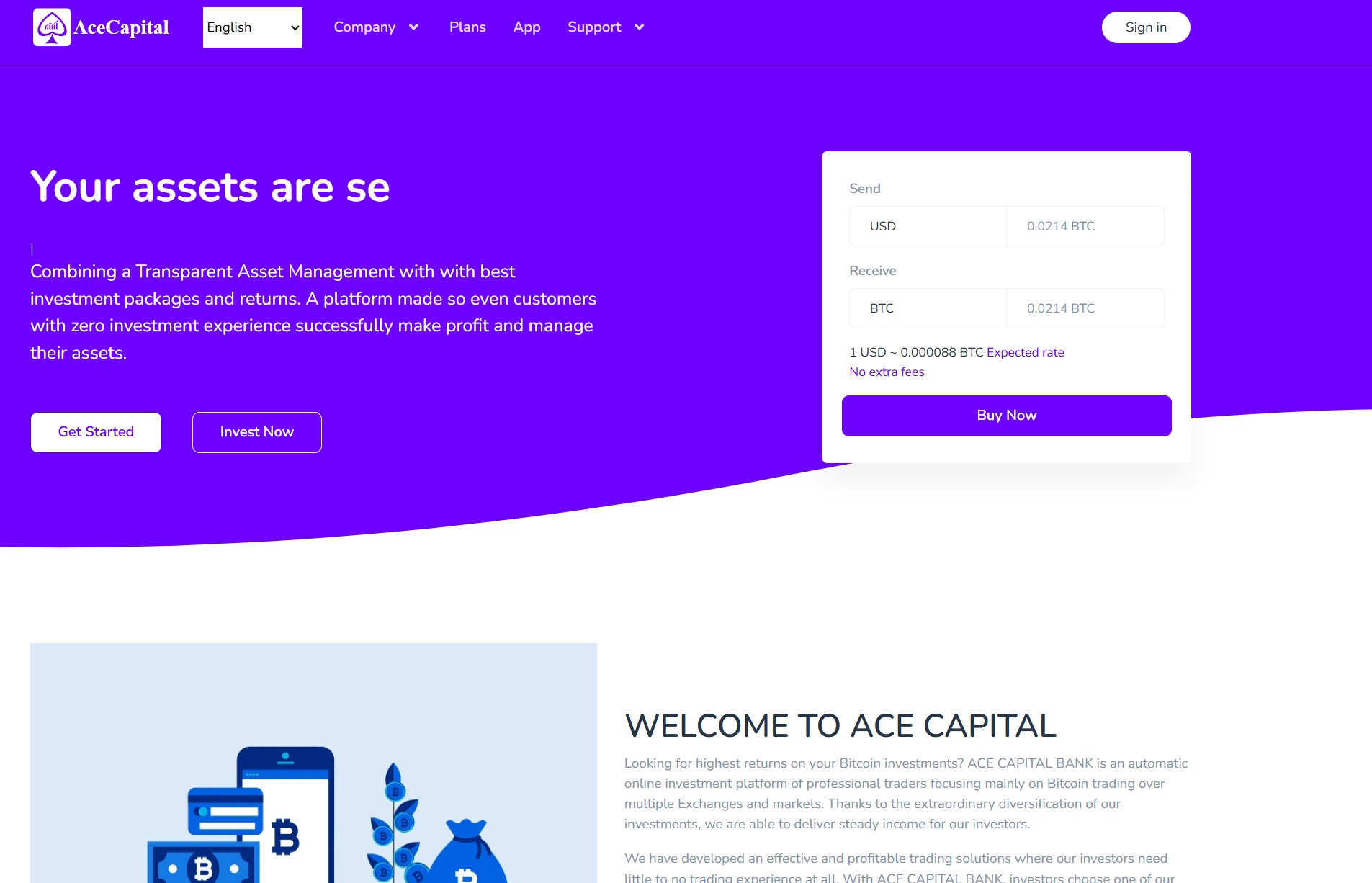Фальшивый брокер ACE CAPITAL (acecapt.com). Отзывы и возврат денег - 1