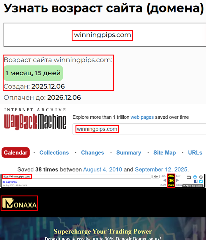 Аферистский брокер WinningPips (winningpips.com). Отзывы и возврат денег - 2