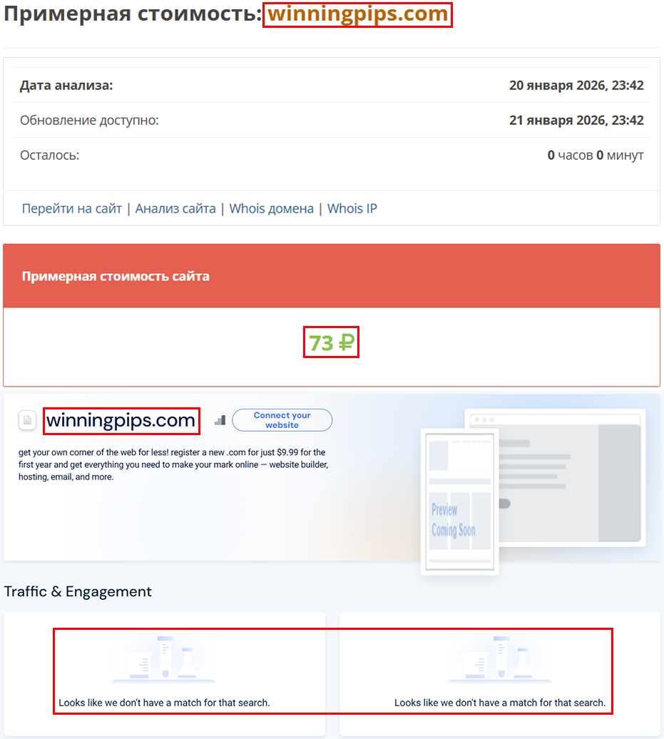 Аферистский брокер WinningPips (winningpips.com). Отзывы и возврат денег - 3