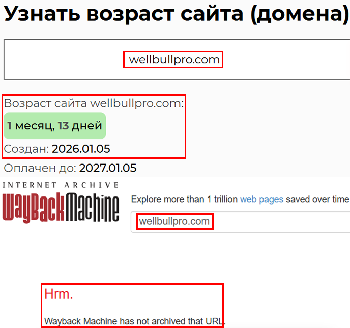 Фальшивый брокер Well Bull Pro (wellbullpro.com). Отзывы и возврат денег - 2