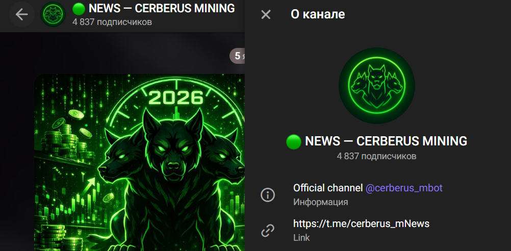 Мошеннический телеграм-канал Cerberus Mining (t.me/cerberus_mNews). Отзывы и возврат денег - 1