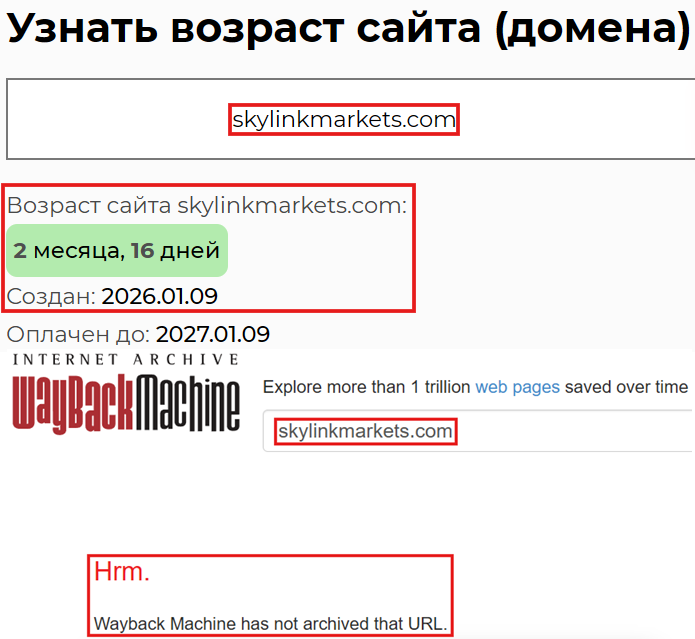 Аферистский брокер Skylink Markets (skylinkmarkets.com). Отзывы и возврат денег - 2