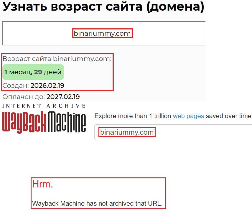 Аферистский брокер Binarium (binariummy.com). Отзывы и возврат денег - 2