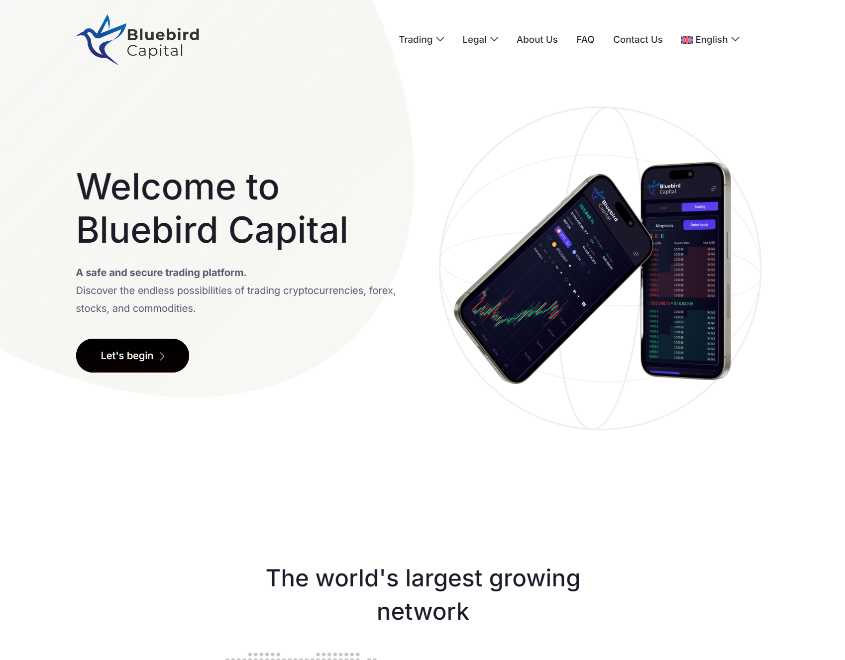 Мошеннический брокер Bluebird Capital (bluebirdsrl.com). Отзывы и возврат денег - 1 Мошеннический брокер Bluebird Capital (bluebirdsrl.com). Отзывы и возврат денег - 1